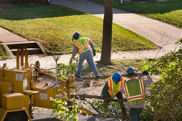 Best Lawn Watering Services  in Piney Point Village, TX